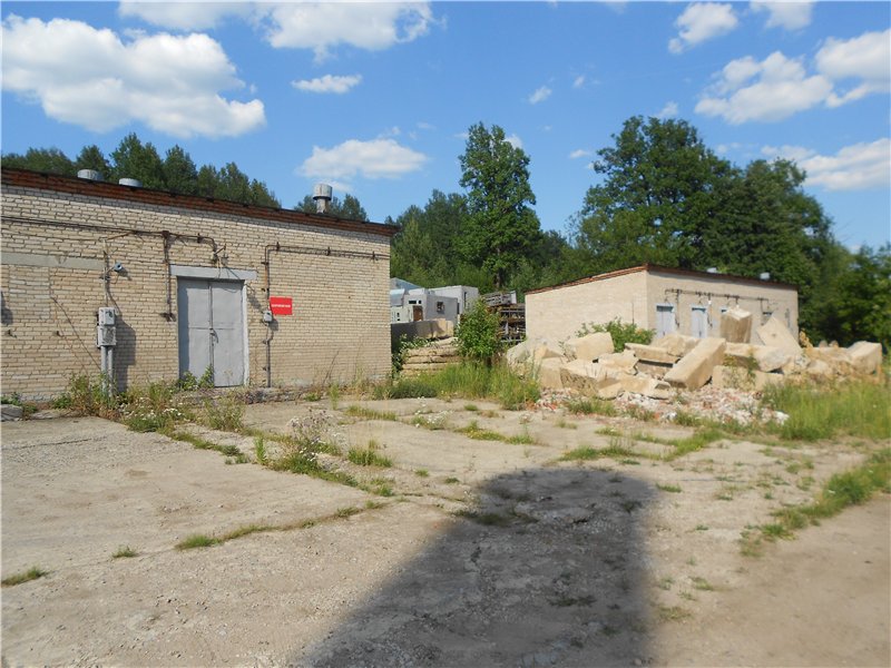 Необычный &quot;кошачий дом&quot; под городом Чехов
