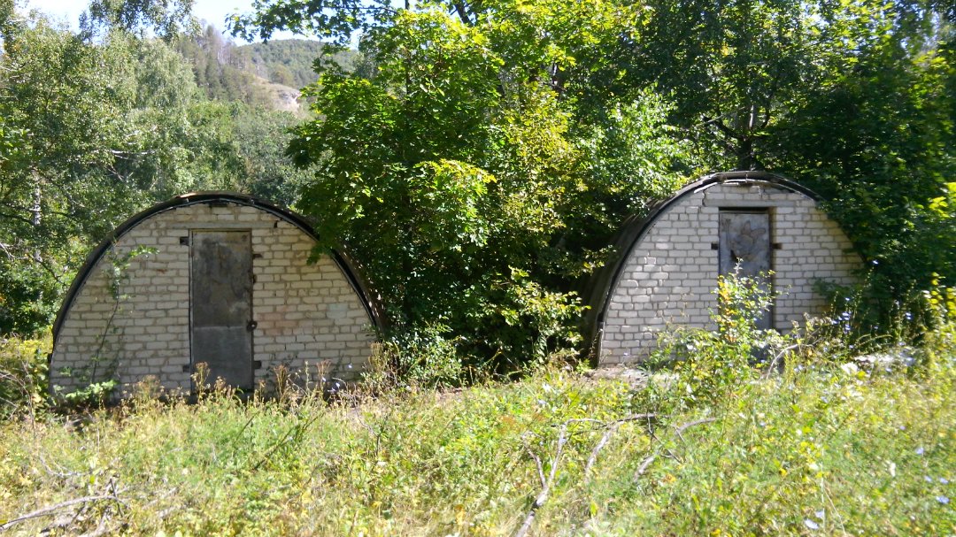 Жигулевский артек фотографии