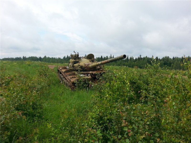 Военный полигон Нарофоминский район