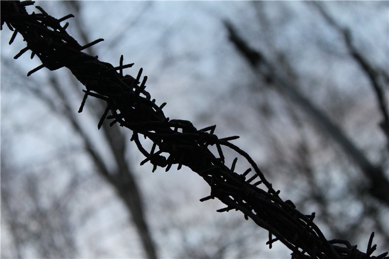 Стройка №501 в окресностях г.Салехард, лагерь ГУЛАГ