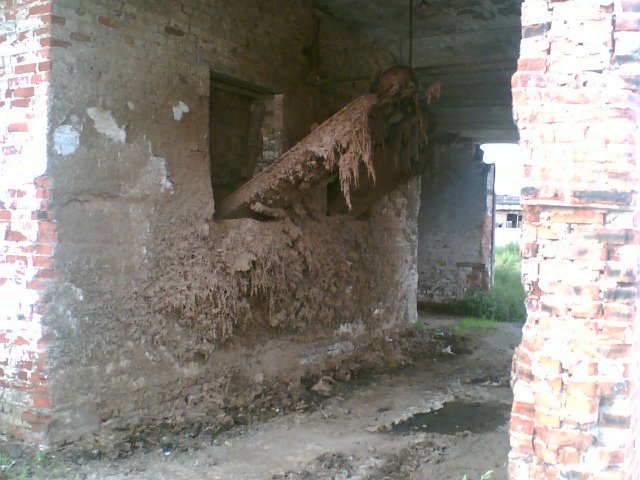 Совхоз "Туровский"