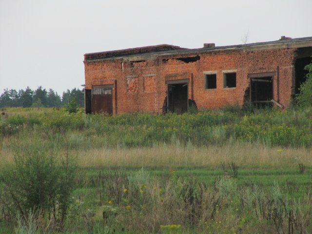 Совхоз "Туровский"