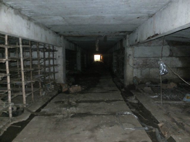 Совхоз "Туровский"