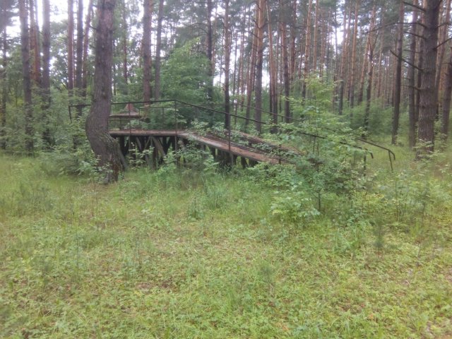 Заброшенный пионерский лагерь