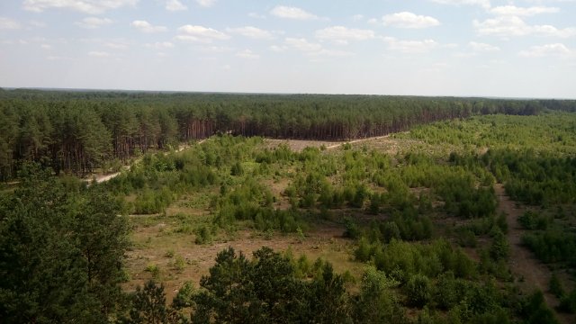 Поворский полигон 