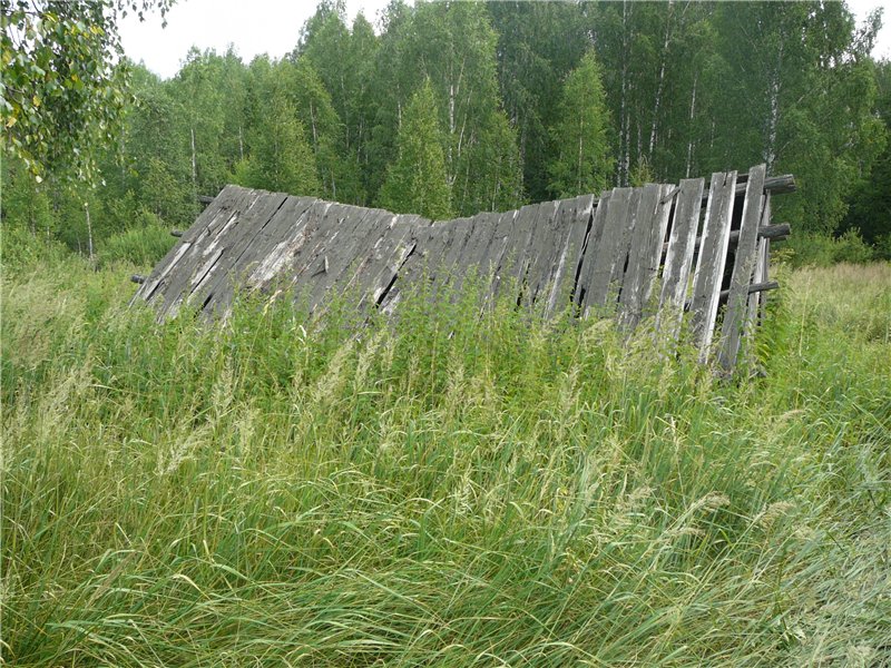 Урочище Трубецкая Дача