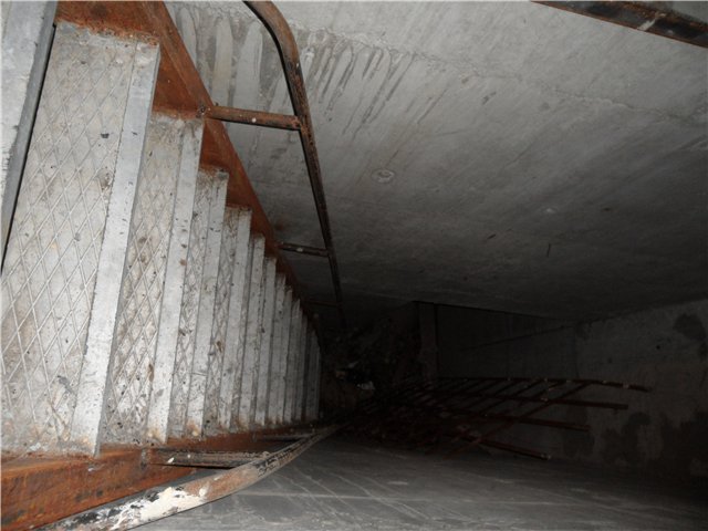Коллектор
