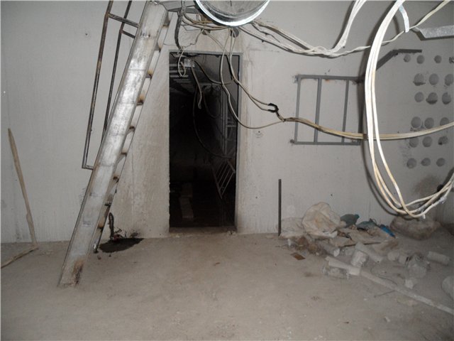 Коллектор