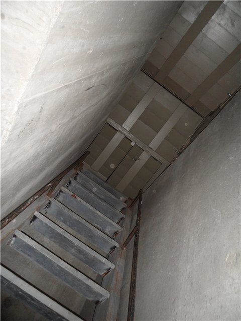 Коллектор