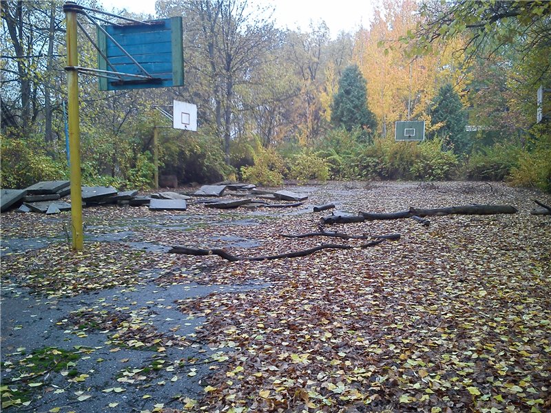 Прогулка по "Лесобону"