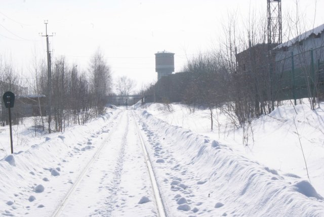 В поисках бомбарей