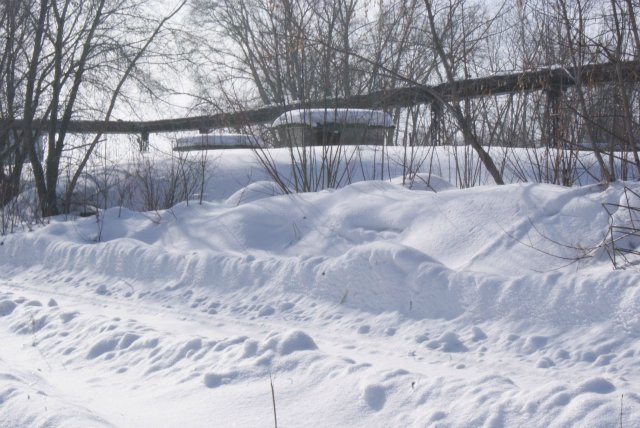 В поисках бомбарей