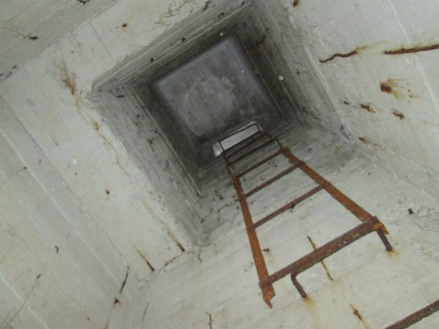 В поисках бомбарей