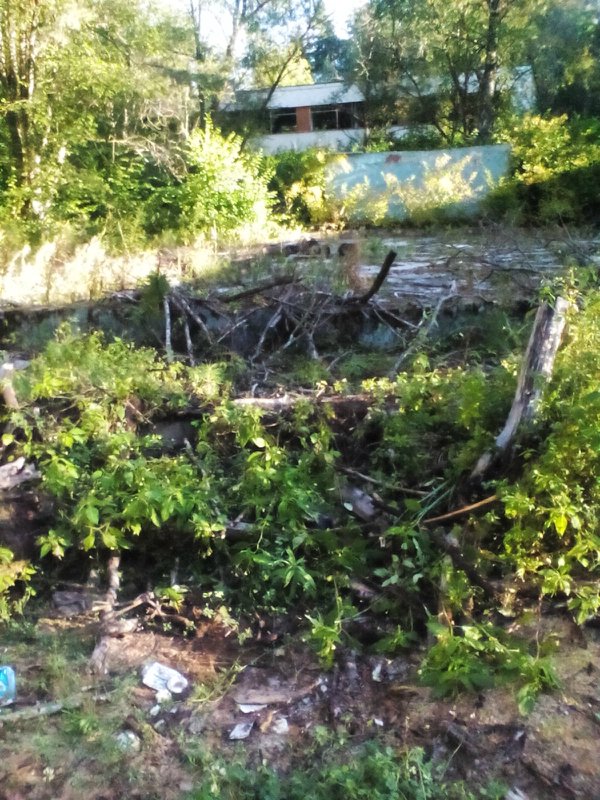 Заброшенный пионерский лагерь в Калужской области