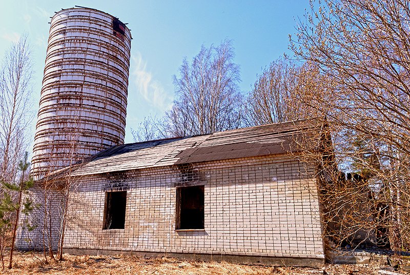 Радиообсерватория