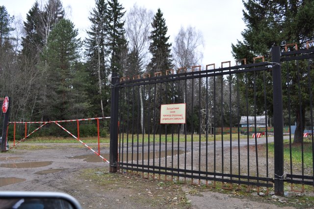 Окольцованный "Беркут"