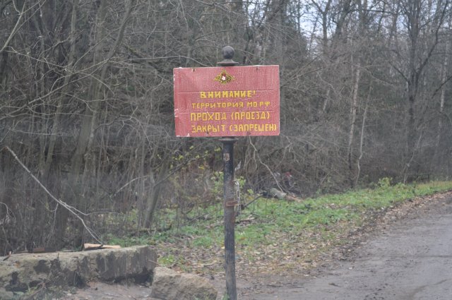 Окольцованный "Беркут"