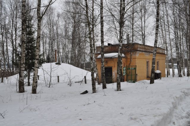 Окольцованный "Беркут"