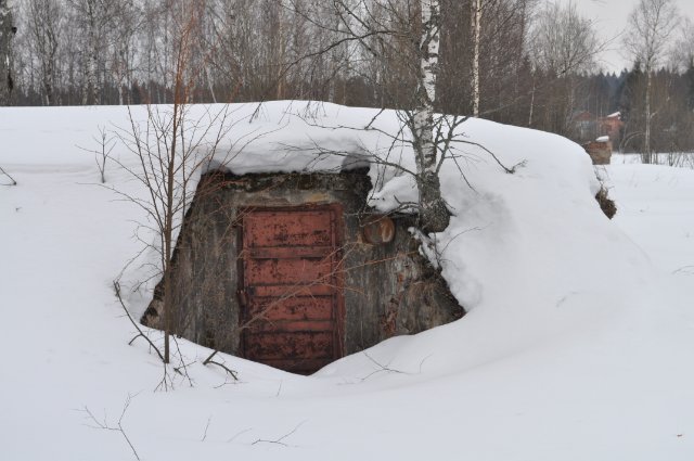Окольцованный "Беркут"