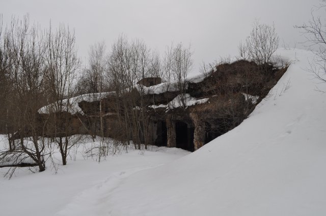 Окольцованный "Беркут"
