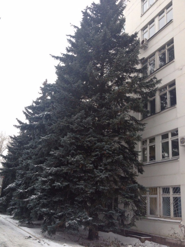 Клиническая больница на Мичуринском