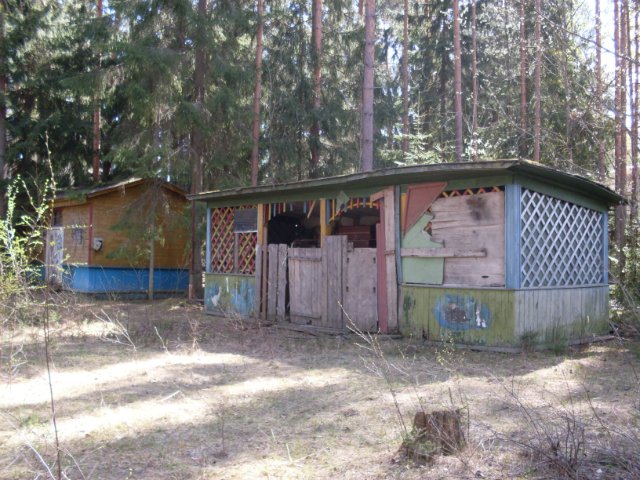 Заброшенные лагеря в Вырице