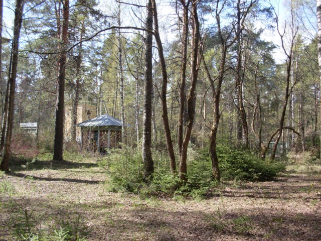 Заброшенные лагеря в Вырице