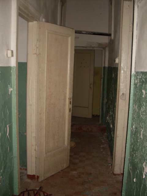 Заброшенные лагеря в Вырице