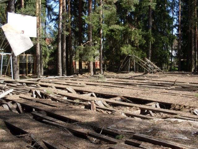 Заброшенные лагеря в Вырице