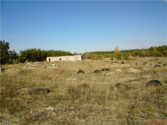 Объект в лесу